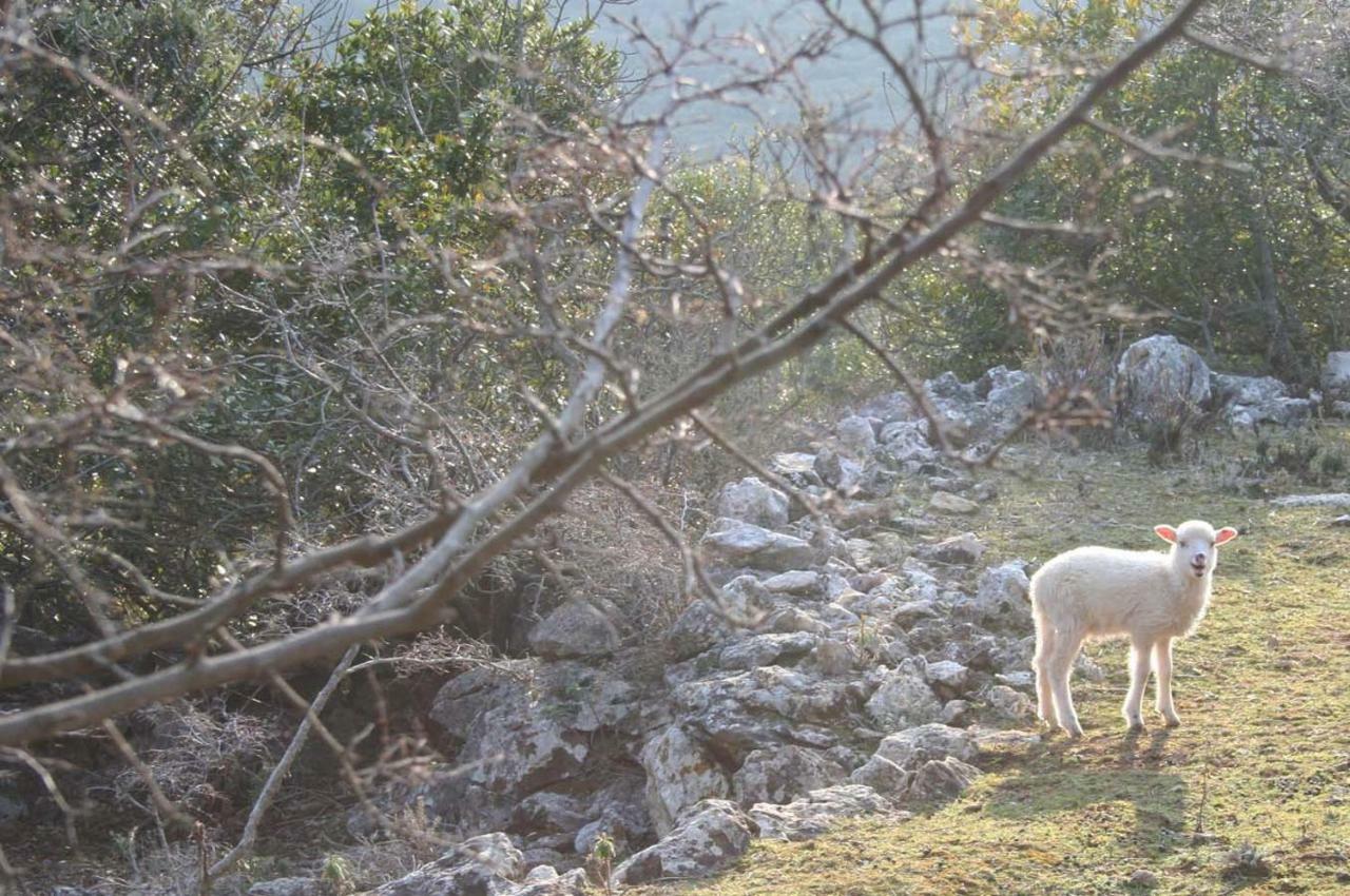 הוילה נזרין Casa Mattea מראה חיצוני תמונה